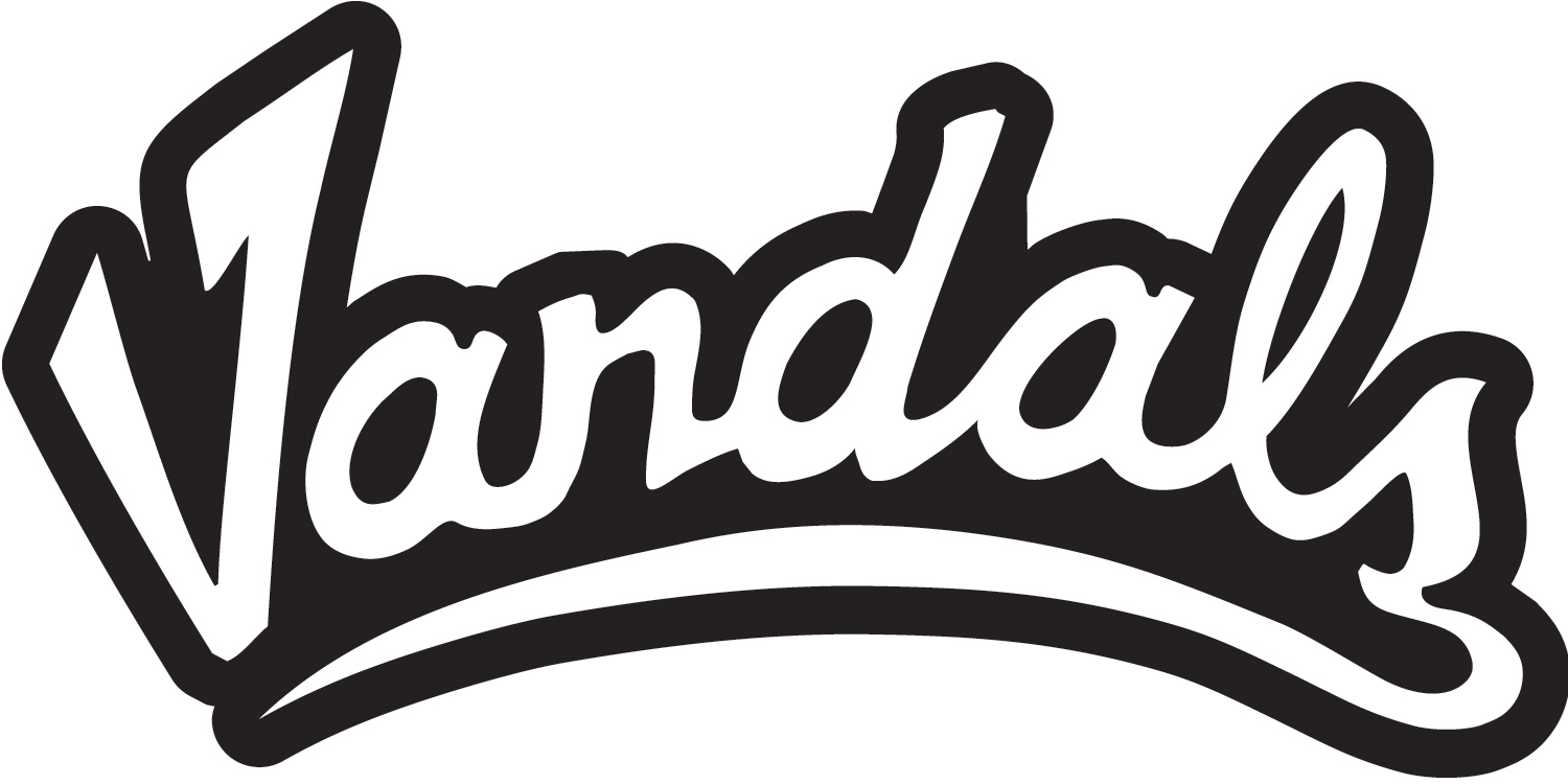 Idaho Vandals 2004-Pres Wordmark Logo diy fabric transfer